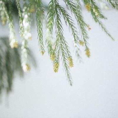 leyu·乐鱼体育手机app下载