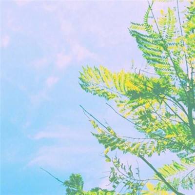 开元娱乐app官网版