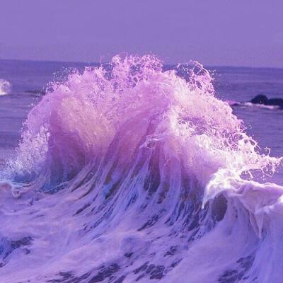 万博全站官网app最新版下载